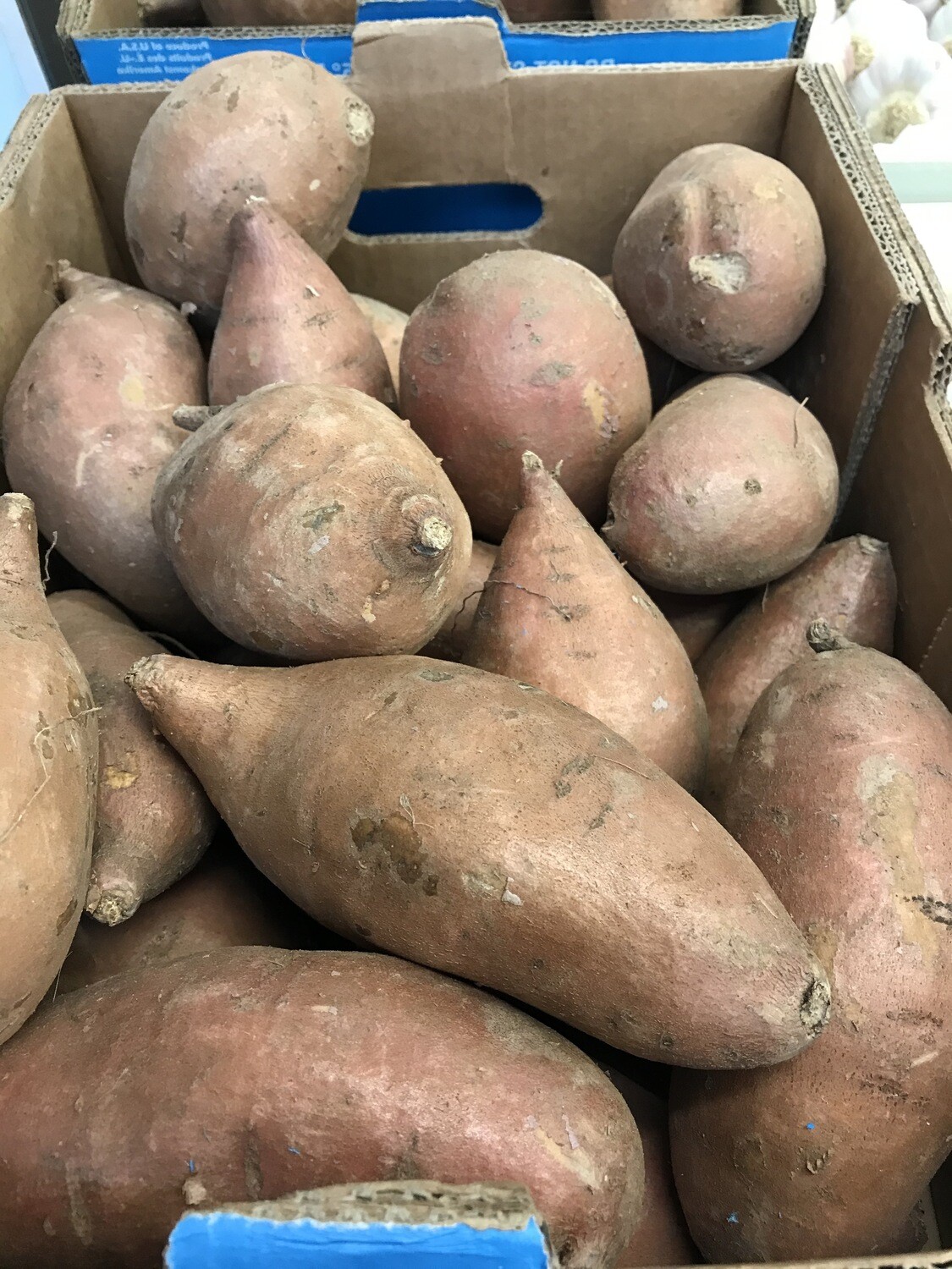 Zoete aardappel per 1 kg