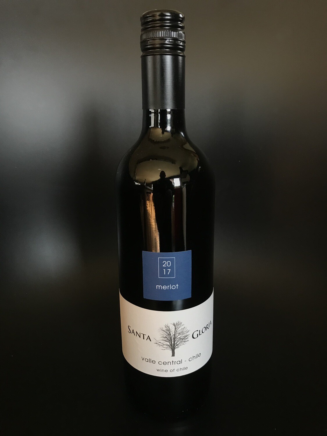 Santa Gloria Merlot Chili 0.75L