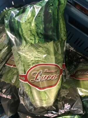 Romeinse sla