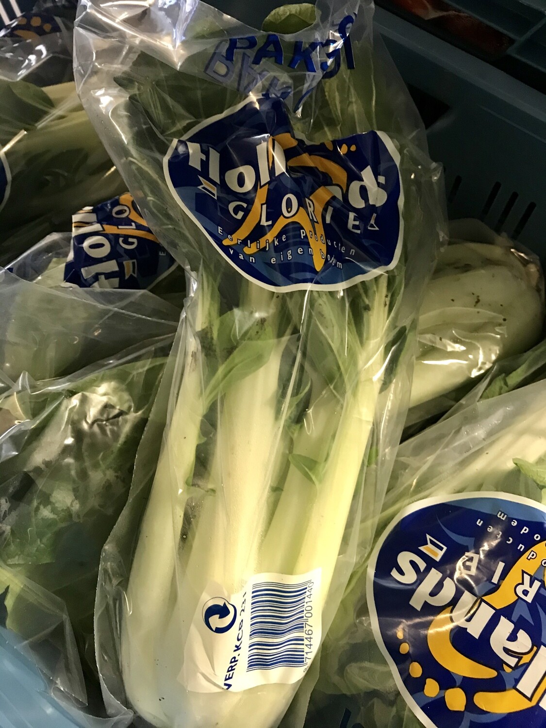 Paksoy