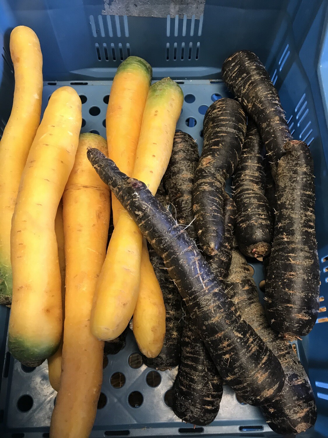 Wortelen paars per kg