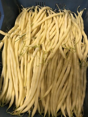 Boterboontjes 500g Belg