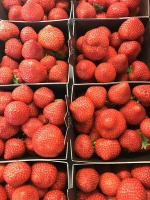 Aardbeien Hoogstraten 500g