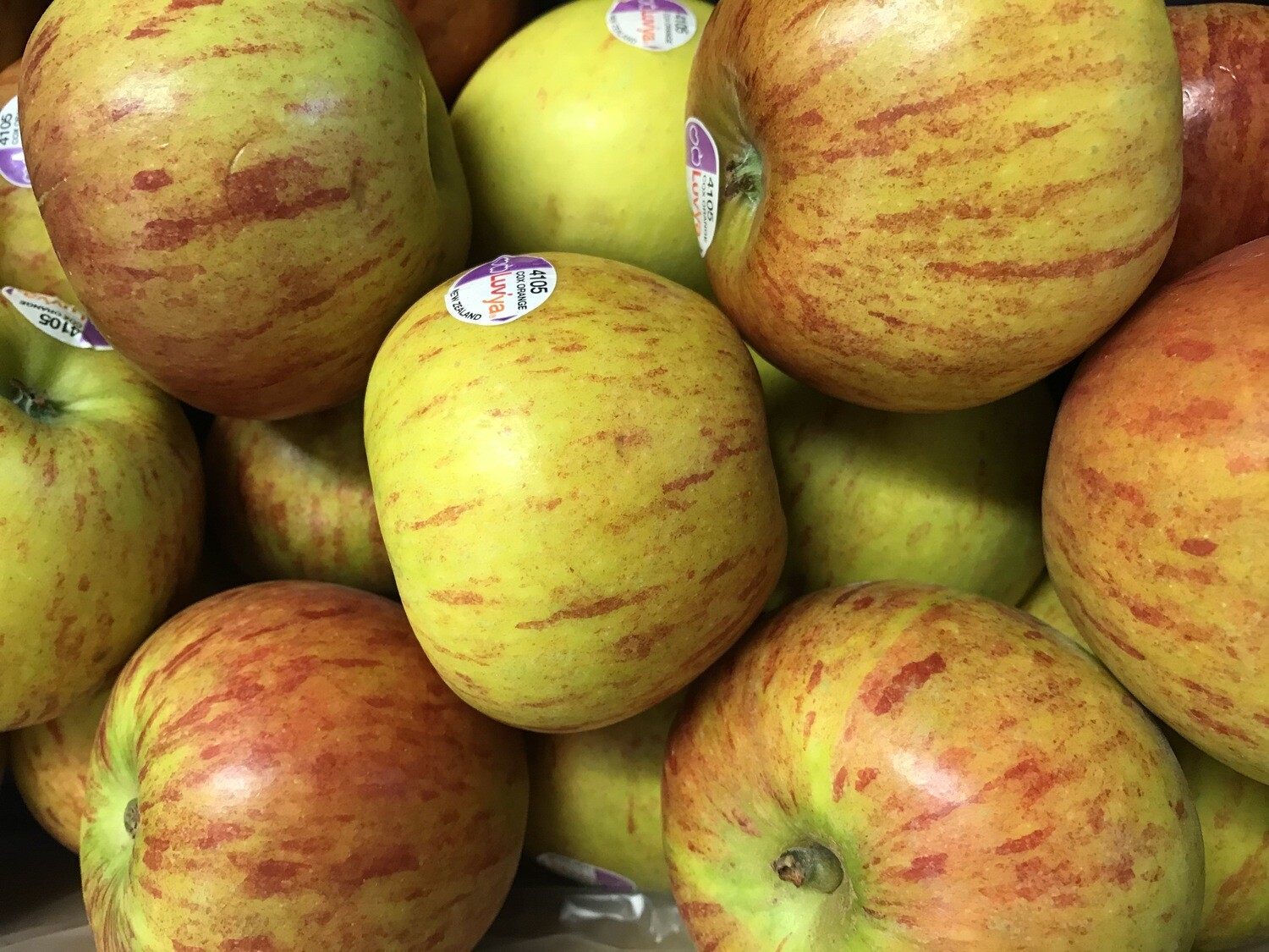 Belgische Cox's 4 stuks