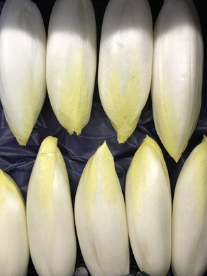 Witloof Volle Grond Belg per 500g