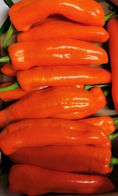 Oranje puntpaprika per stuk