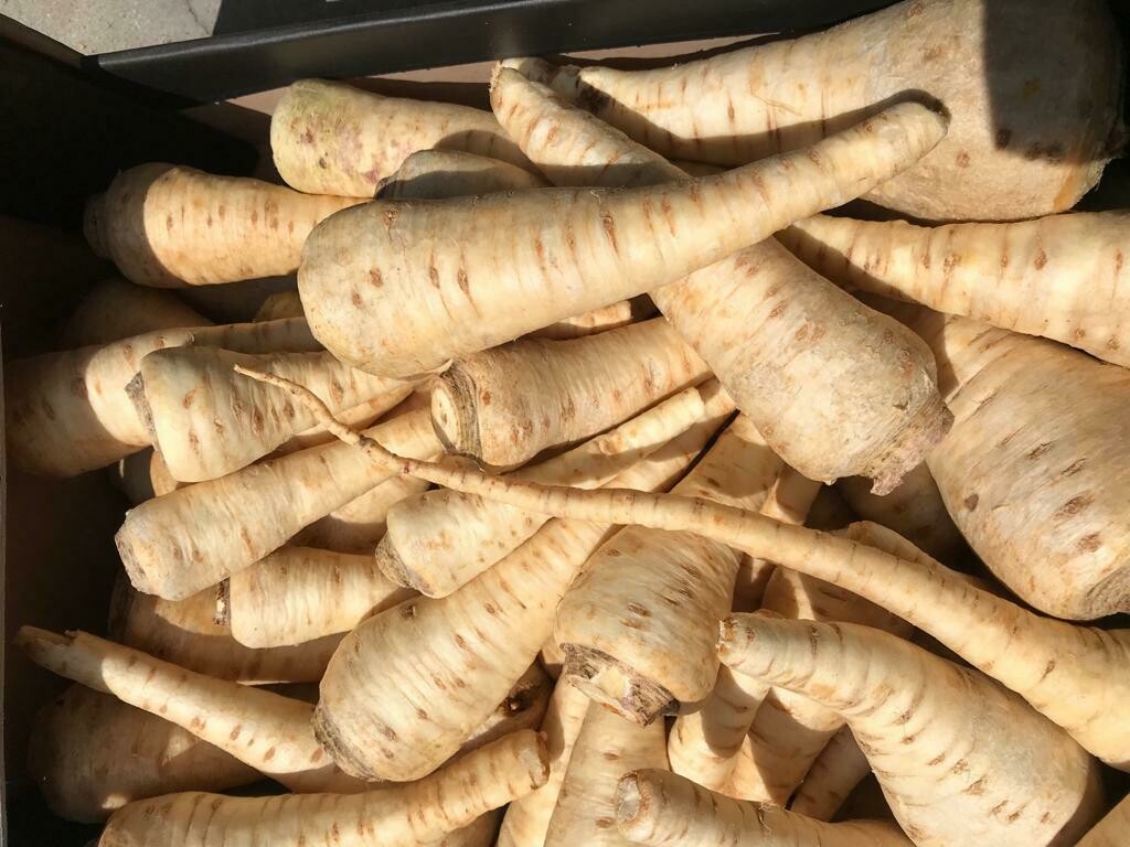 Peterseliewortel 500g