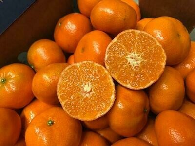 Clementinen tango super lekker ! 500g