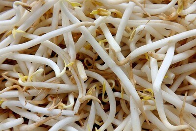 Soja scheuten 250g