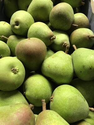 Peren Dubbele Flippen Belgische nieuwe oogst 4 stuks