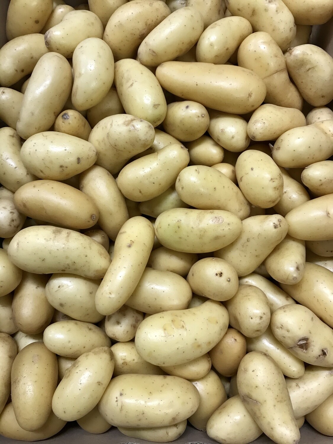 Belgische krielaardappelen Amandine per kg