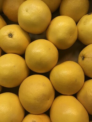 Pompelmoes wit per stuk