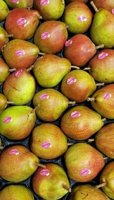 Sweet sensation peren per 4 stuks