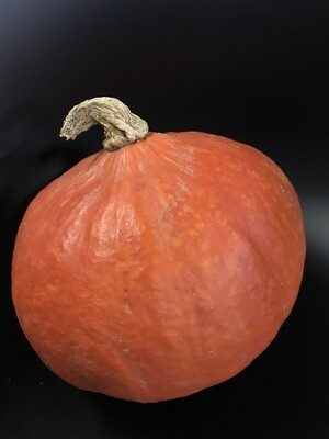 Pompoen +/- 1,5kg per stuk Hokaido