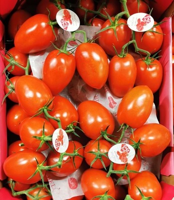 Ruby red pruim trostomaten per 5 stuks