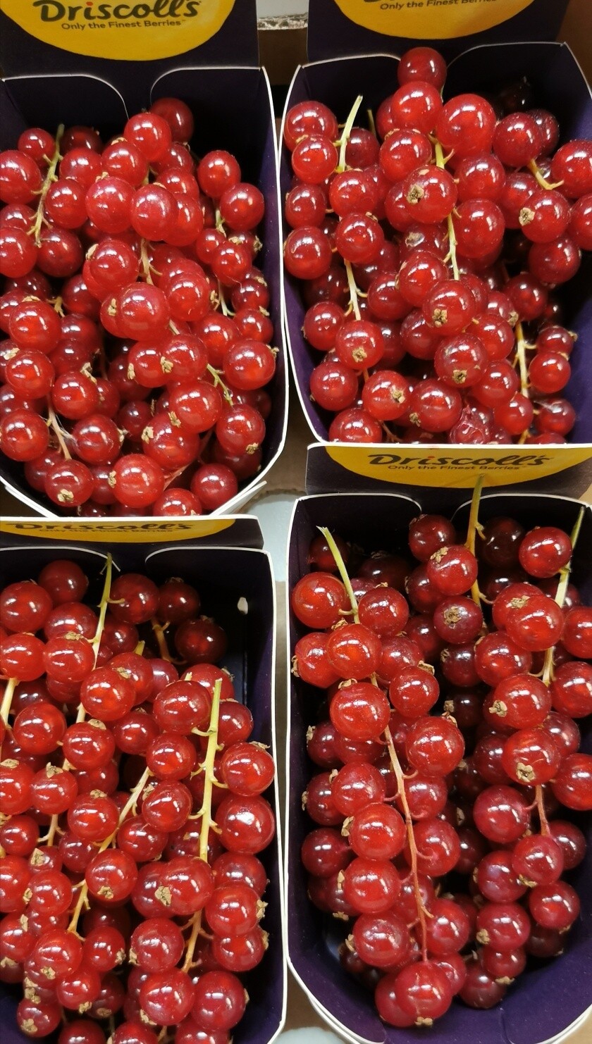 Rode bessen per pot van 125g