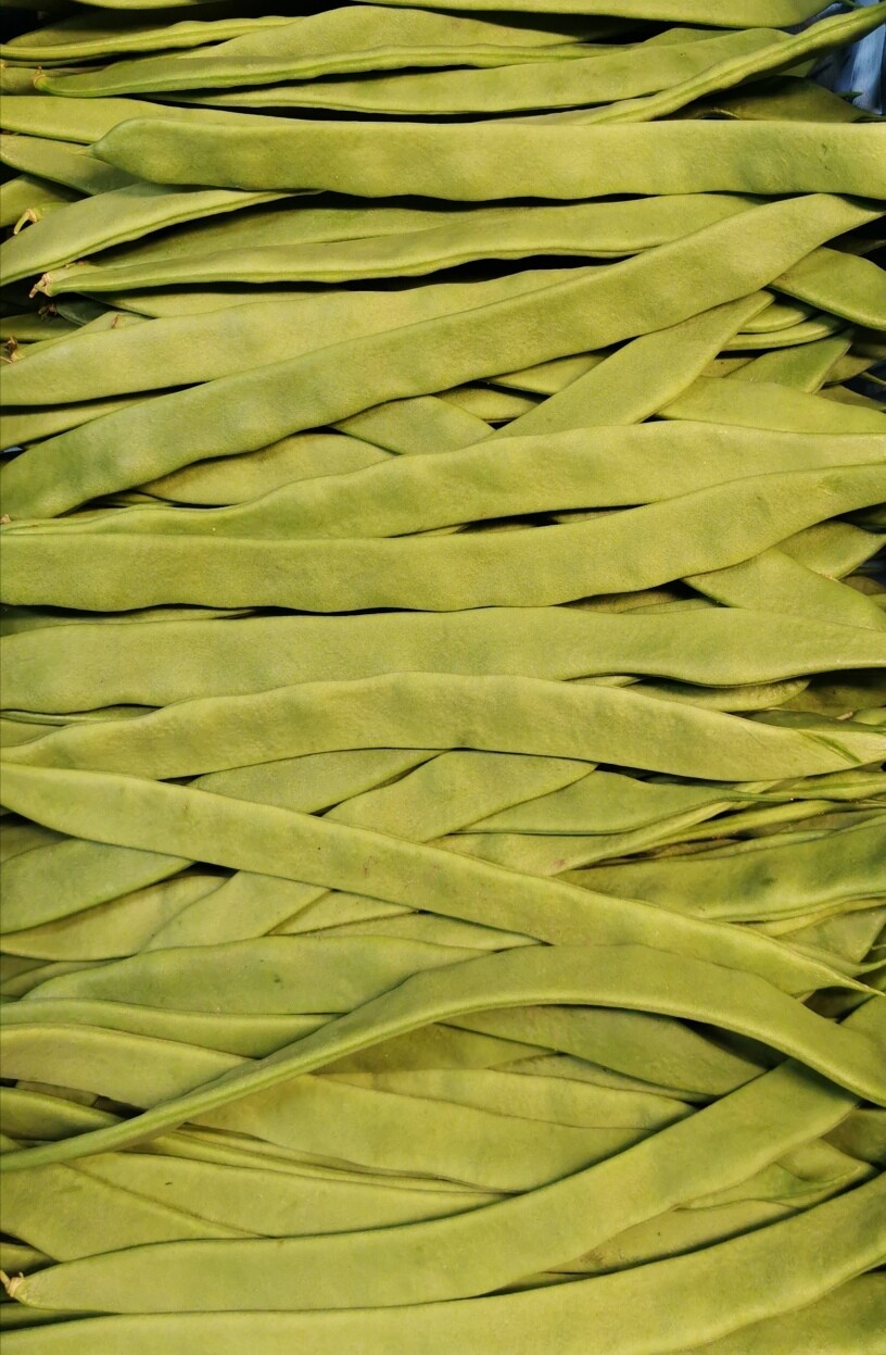 Snijbonen per 500g belg