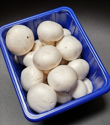 Grote champignons 500g