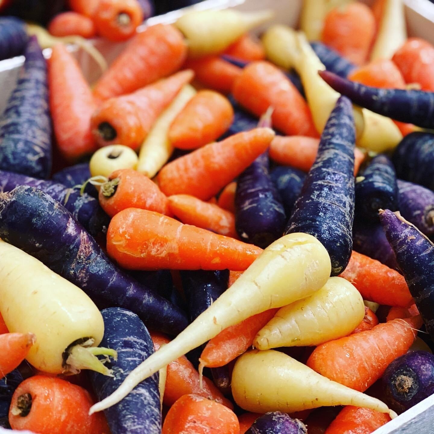 Mini Wortel Mix 500gr