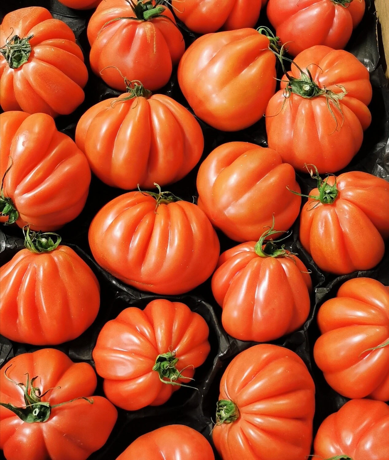 Tomaten Coeur de boeuf per 1 kg