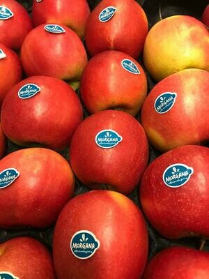 Morgana appels per 4 stuks BELGISCH