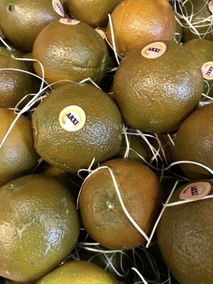 Chocolade sinaasappel per 1 stuks SPANJE