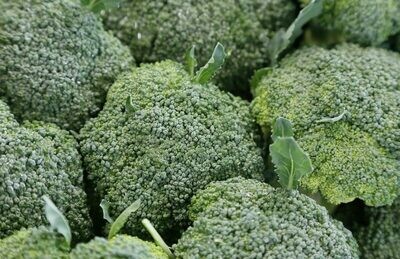 Broccoli +- 500g