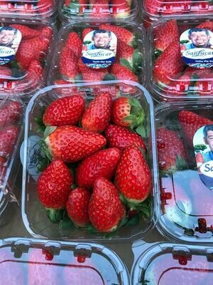 Aardbeien Spanje 400g