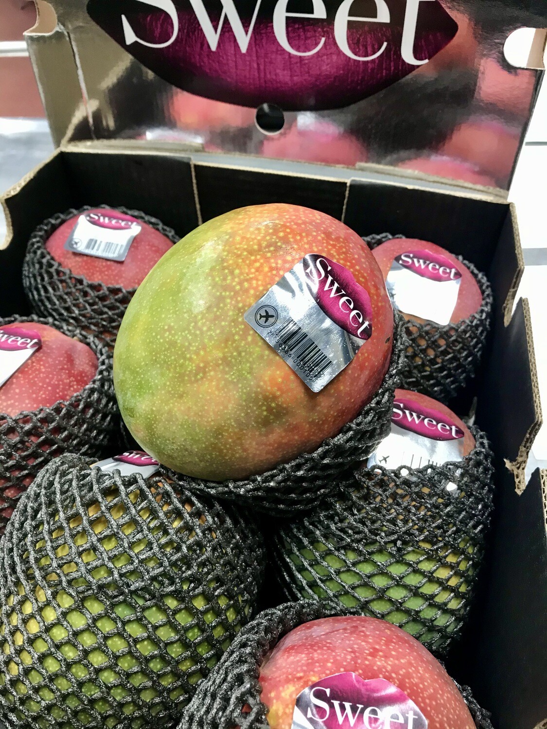 Mango gevlogen