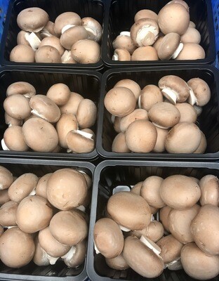 Bruine champignons 250g  /champignons de Paris