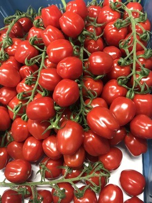 mini paprikatomaatjes per 500g
