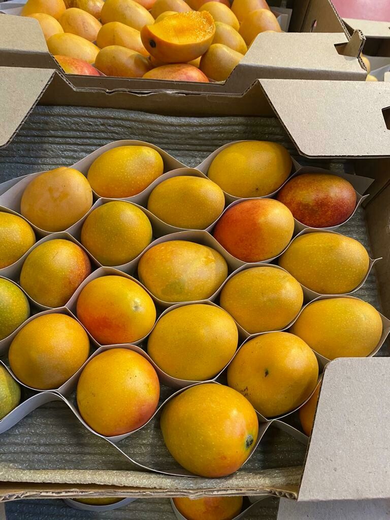 Mini Mango