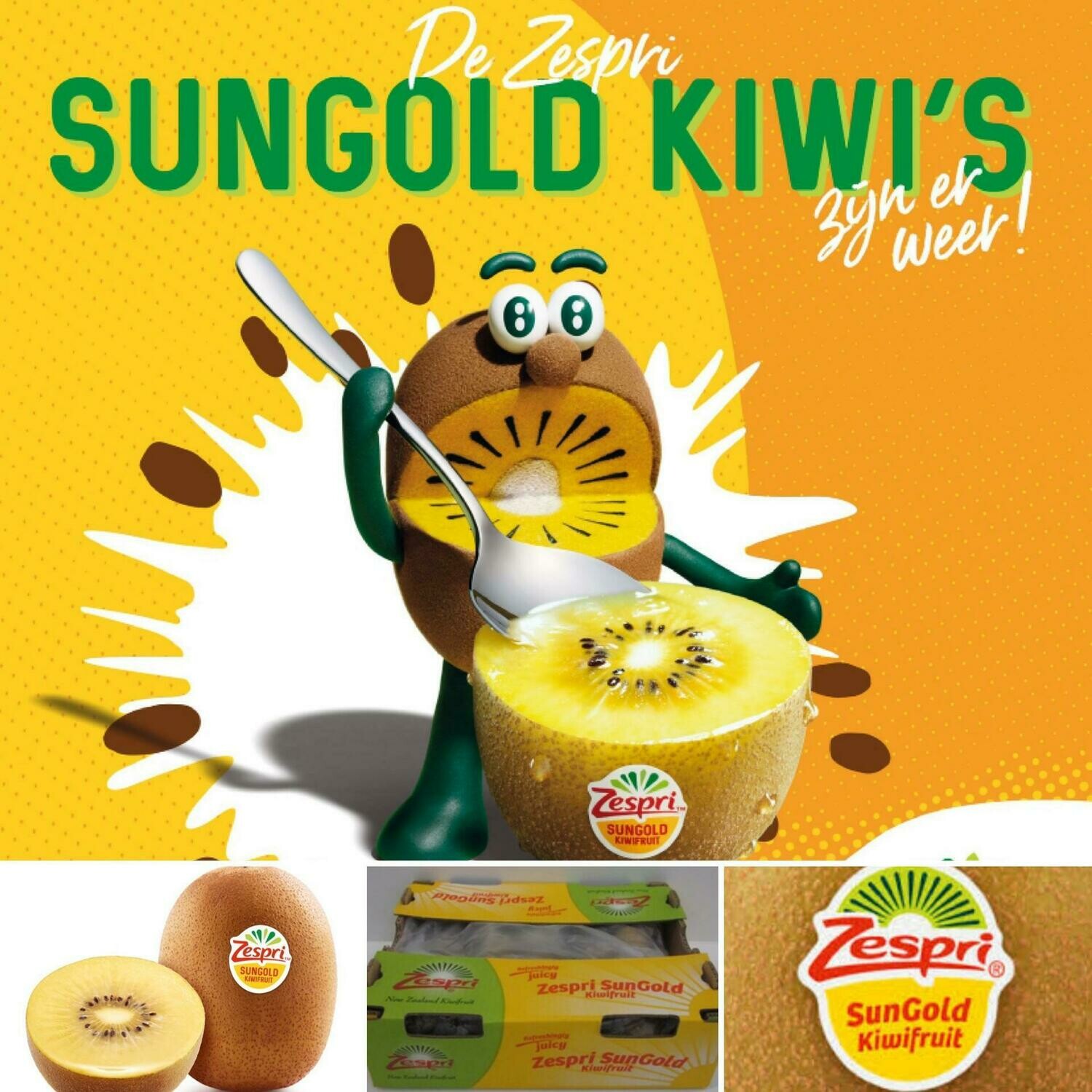 Kiwi GOLD ZESPRI XL per 4 stuk Nieuw Zeeland