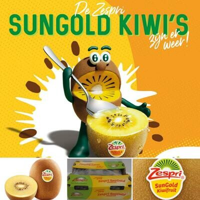 Kiwi GOLD ZESPRI XL per 4 stuk Nieuw Zeeland