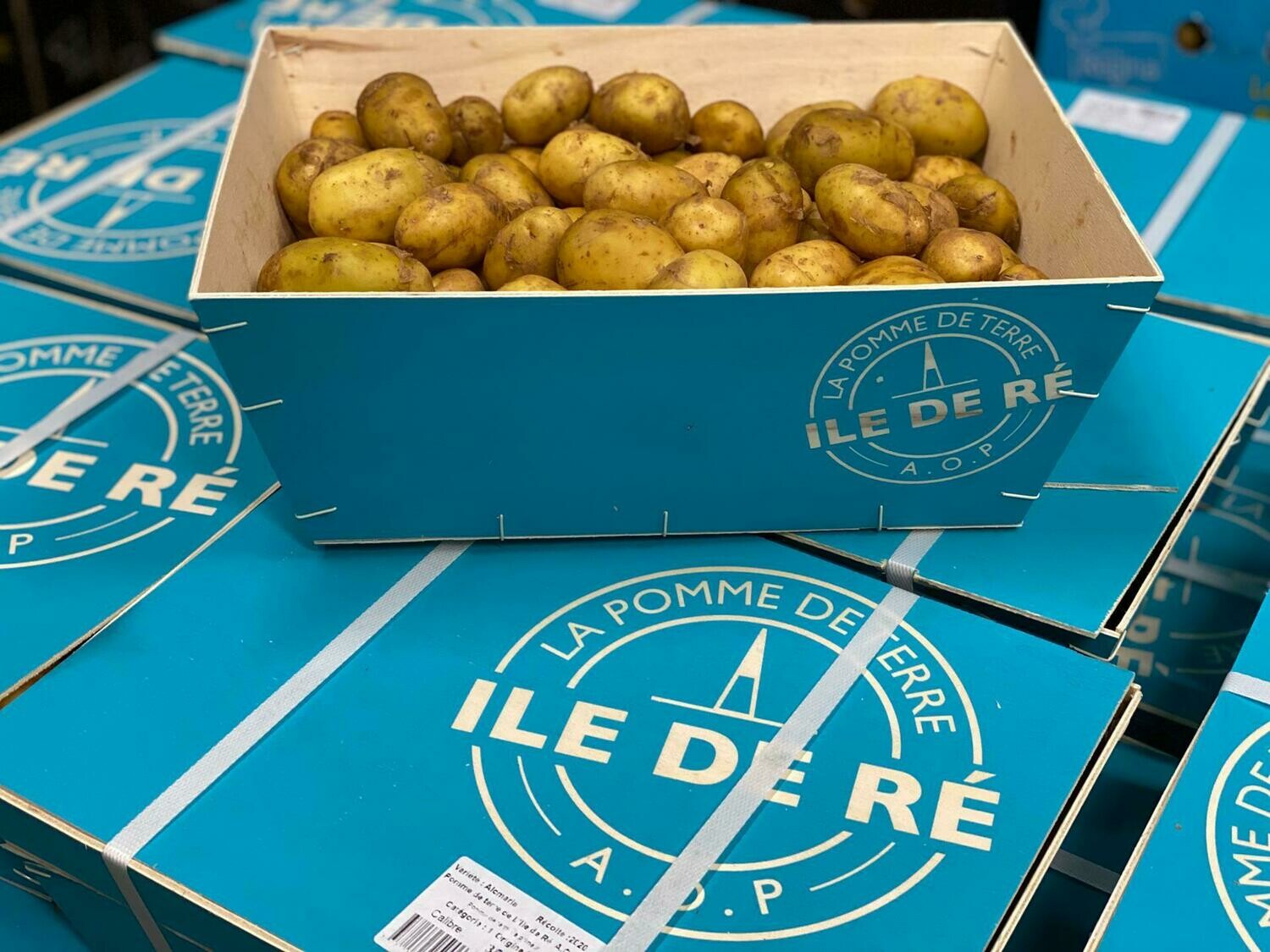 Ile De Ré nieuwe krielaardappelen per 1 kg AOC