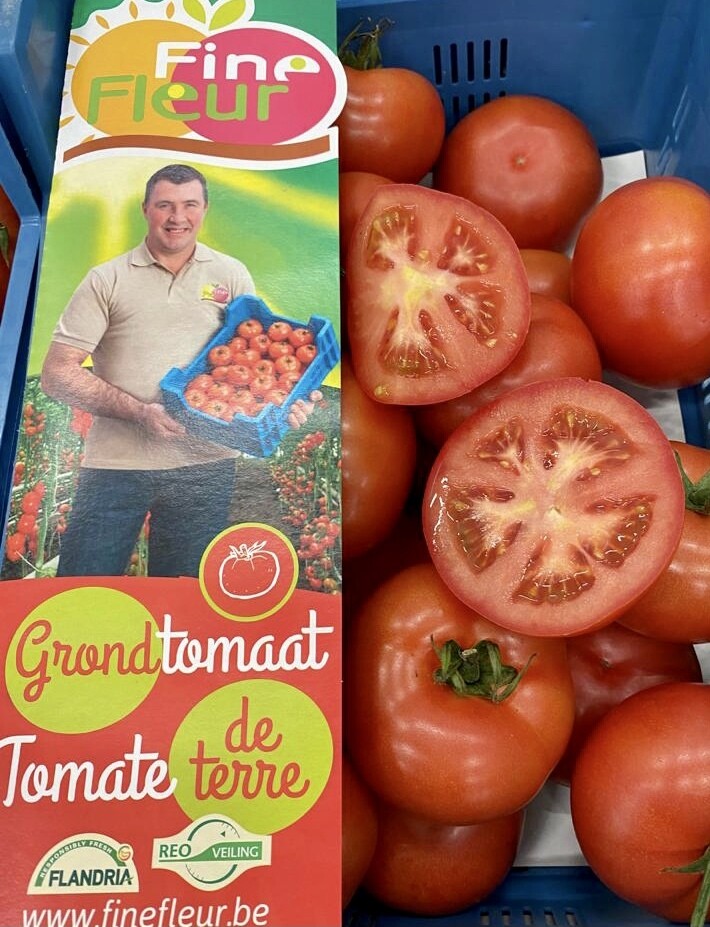 Grondtomaten per 4 stuks