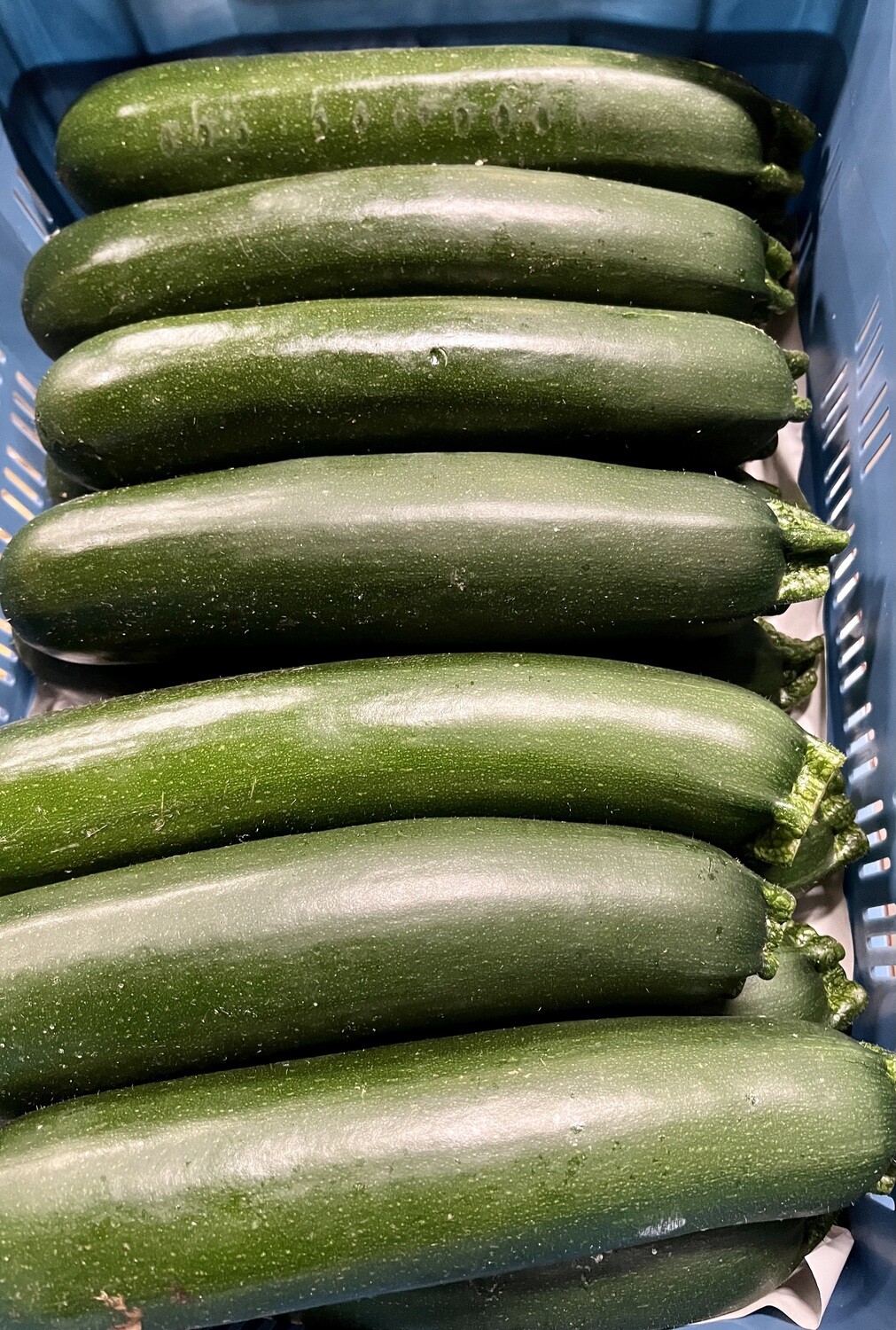 Courgette per stuk