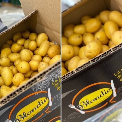 Smaakaardappelen per 1 kg BLONDIE