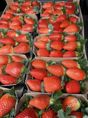 Aardbeien Spanje 250g 