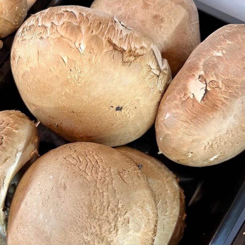 Portobello per stuk