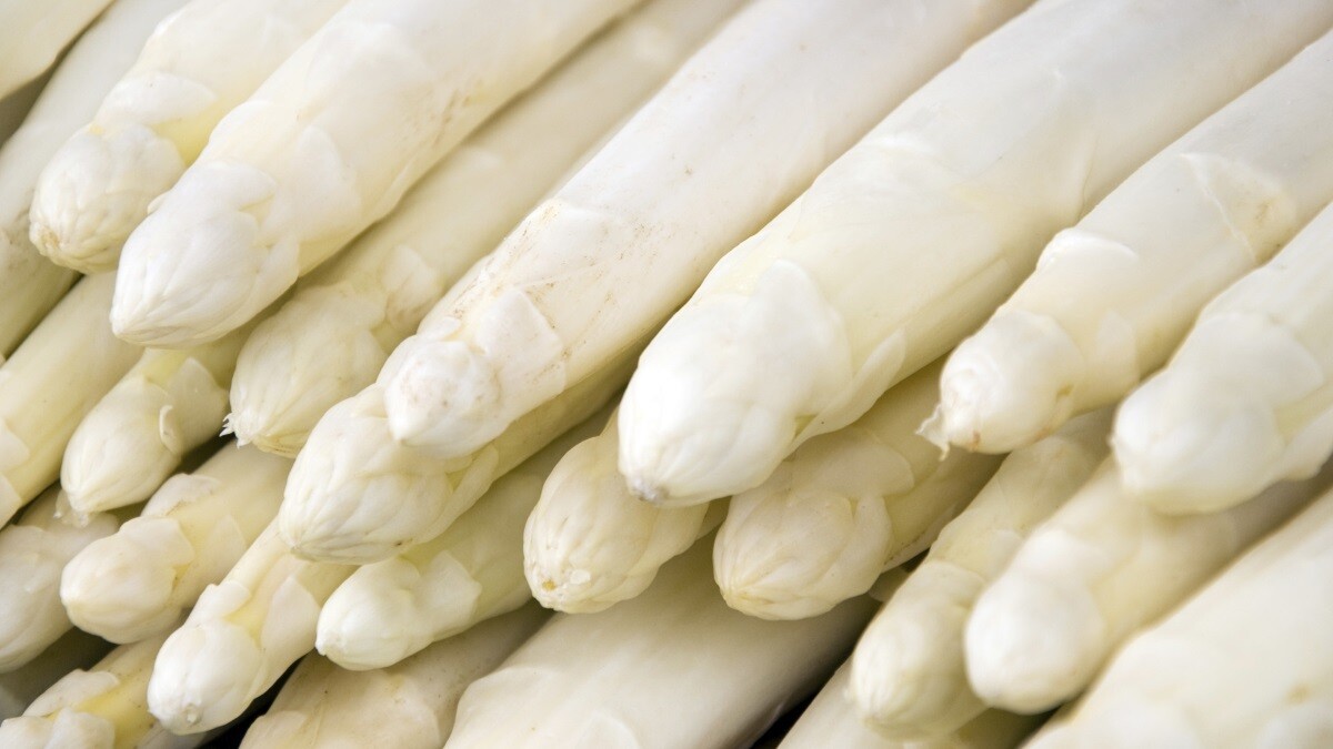 Asperges wit per 450g PERU