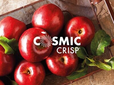 Cosmic crisp appels per 4 stuks Italië