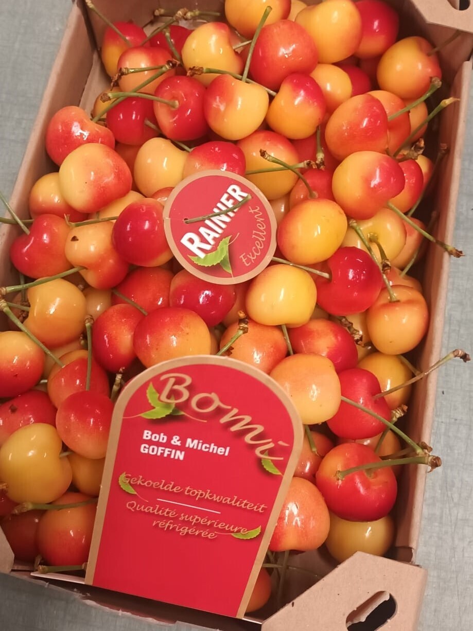 Kersen Witbuik Rainier 250gr