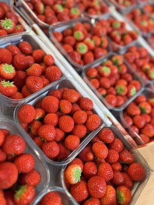 Aardbeien Hoogstraten kleintjes  500g