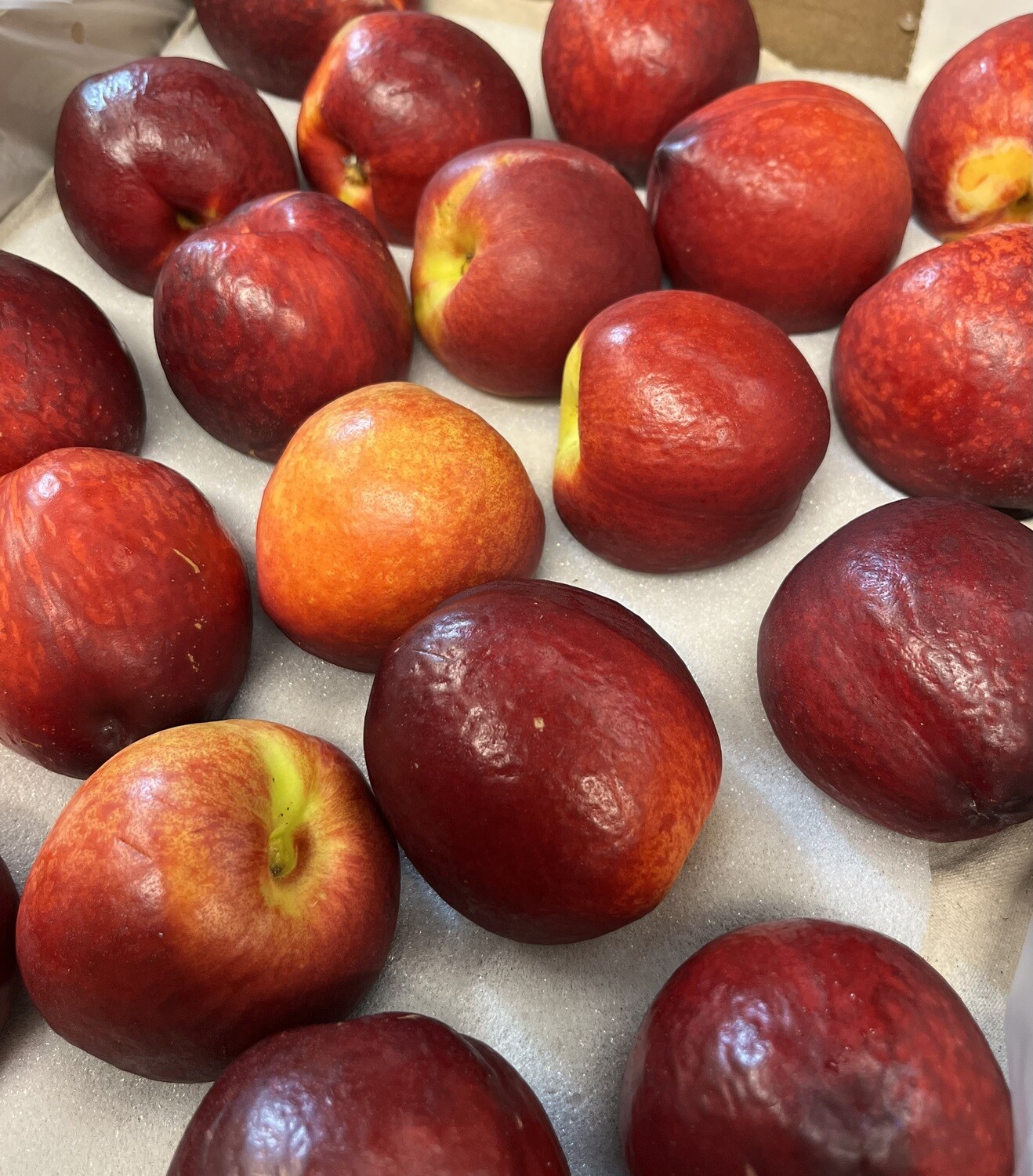 Nectarine Zuid-Afrika geel 4 stuks