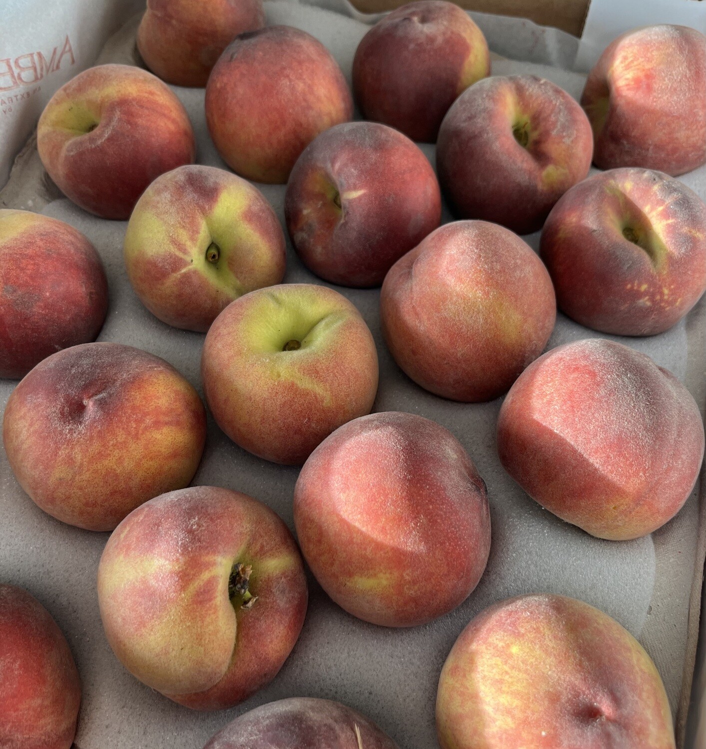 Perzik Zuid-Afrika geel 4 stuks