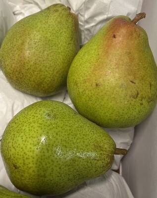 Doyenne peren 4 stuks België