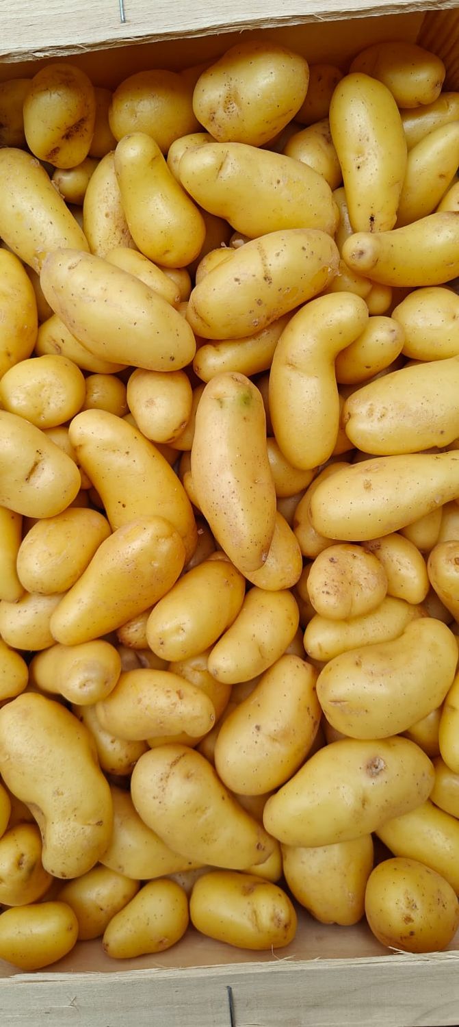 Belg Rattes aardappeltjes per 1 kg