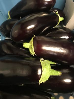 Aubergine per stuk
