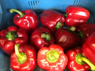 Paprika rood per stuk